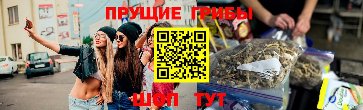 Галлюциногенные грибы Magic Shrooms  Вход с VPN  Абакан  Псилоцибиновые грибы прущие грибы 